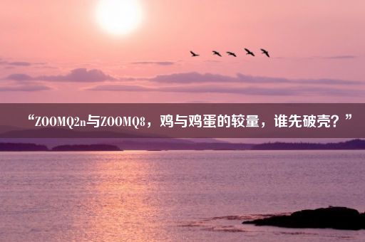 “ZOOMQ2n与ZOOMQ8,鸡与鸡蛋的较量,谁先破壳?”