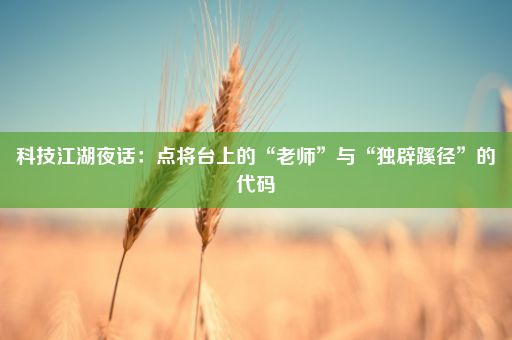 科技江湖夜话:点将台上的“老师”与“独辟蹊径”的代码