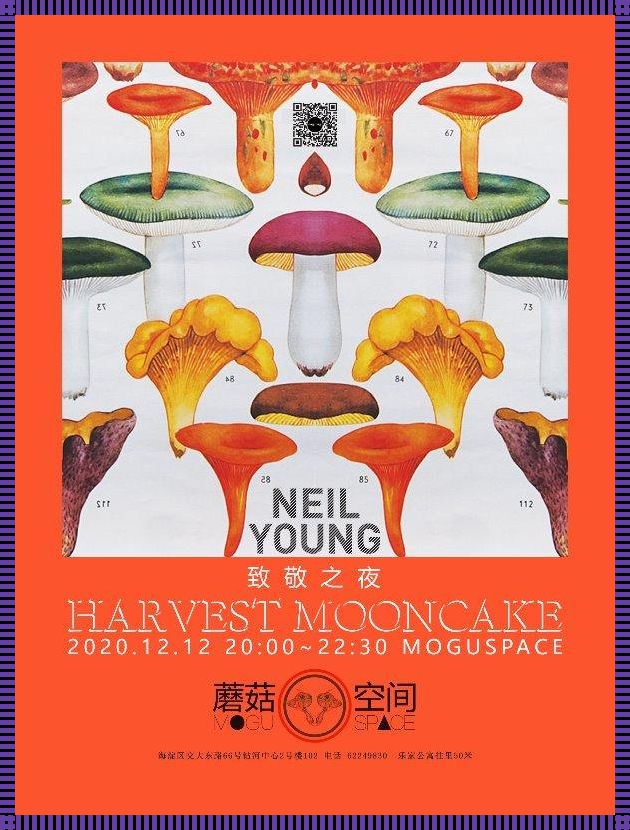 “蘑蘑空间”:萌动未来的创新小巨人