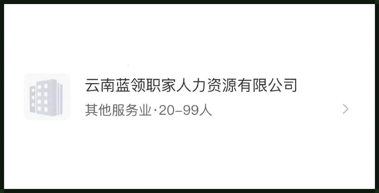 99人力探秘:新时代的领航者,竟是这般模样?