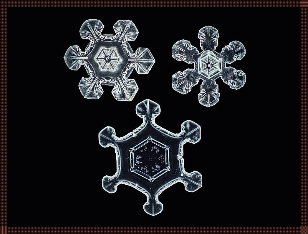 科技雪花秀引发热议:笑谈奇观里的滑稽一幕