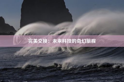 完美交换：未来科技的奇幻旅程