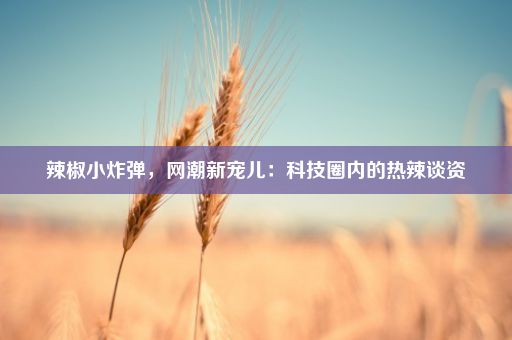 辣椒小炸弹,网潮新宠儿:科技圈内的热辣谈资