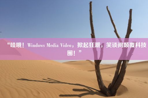 “哇哦!Windows Media Video,掀起狂潮,笑谈间颠覆科技圈!”
