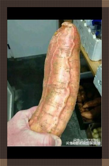 “嘴试鸡味,干呕连连:网界热议,科技视角下的饮食趣闻”