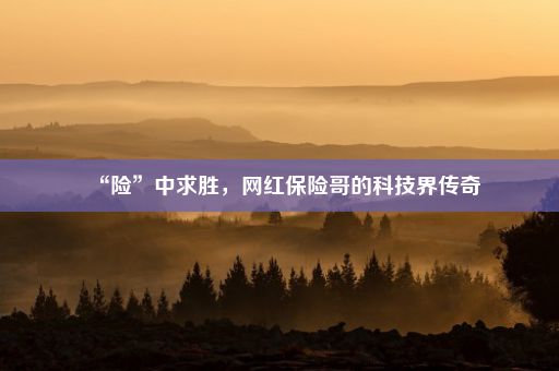 “险”中求胜,网红保险哥的科技界传奇