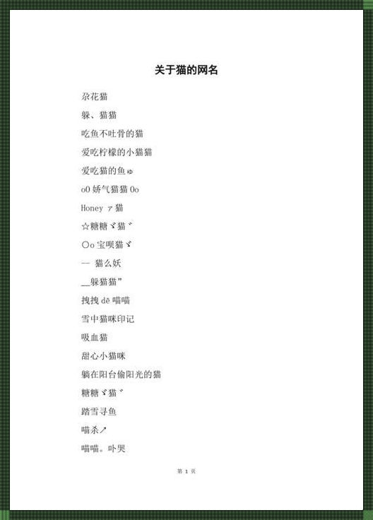 喵星人的领地之战:互联网上的名字争霸赛