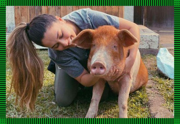 科技江湖:猪狗人类,谁主沉浮?