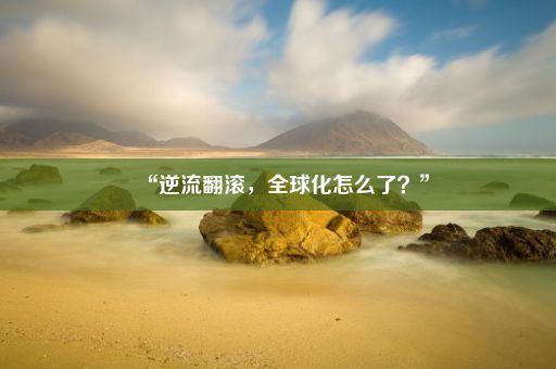 “逆流翻滚,全球化怎么了?”
