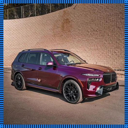 "躁时代的新宠,创新界的狂徒"