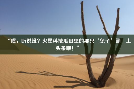 “嘿,听说没?火星科技瓜田里的那只‘兔子’蹦跶上头条啦!”