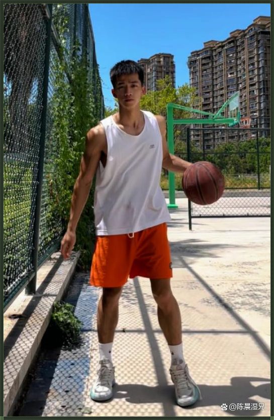 "篮坛新宠儿,手冲领域的篮球狂想曲"