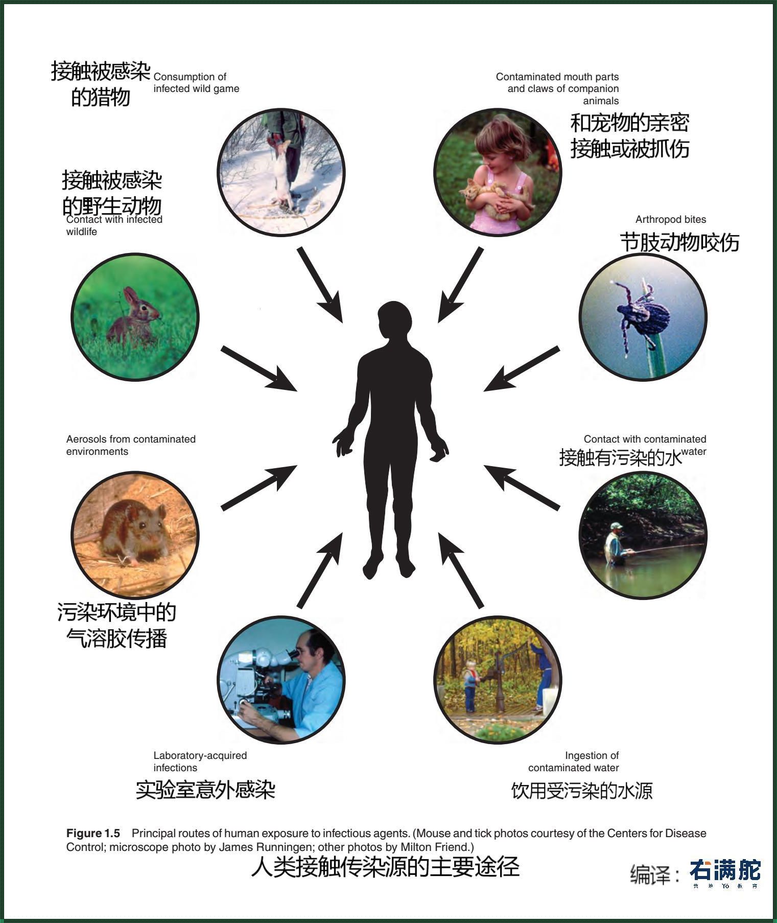 "时尚狂潮中的‘禽’解人意:科技版人畜共情大戏"