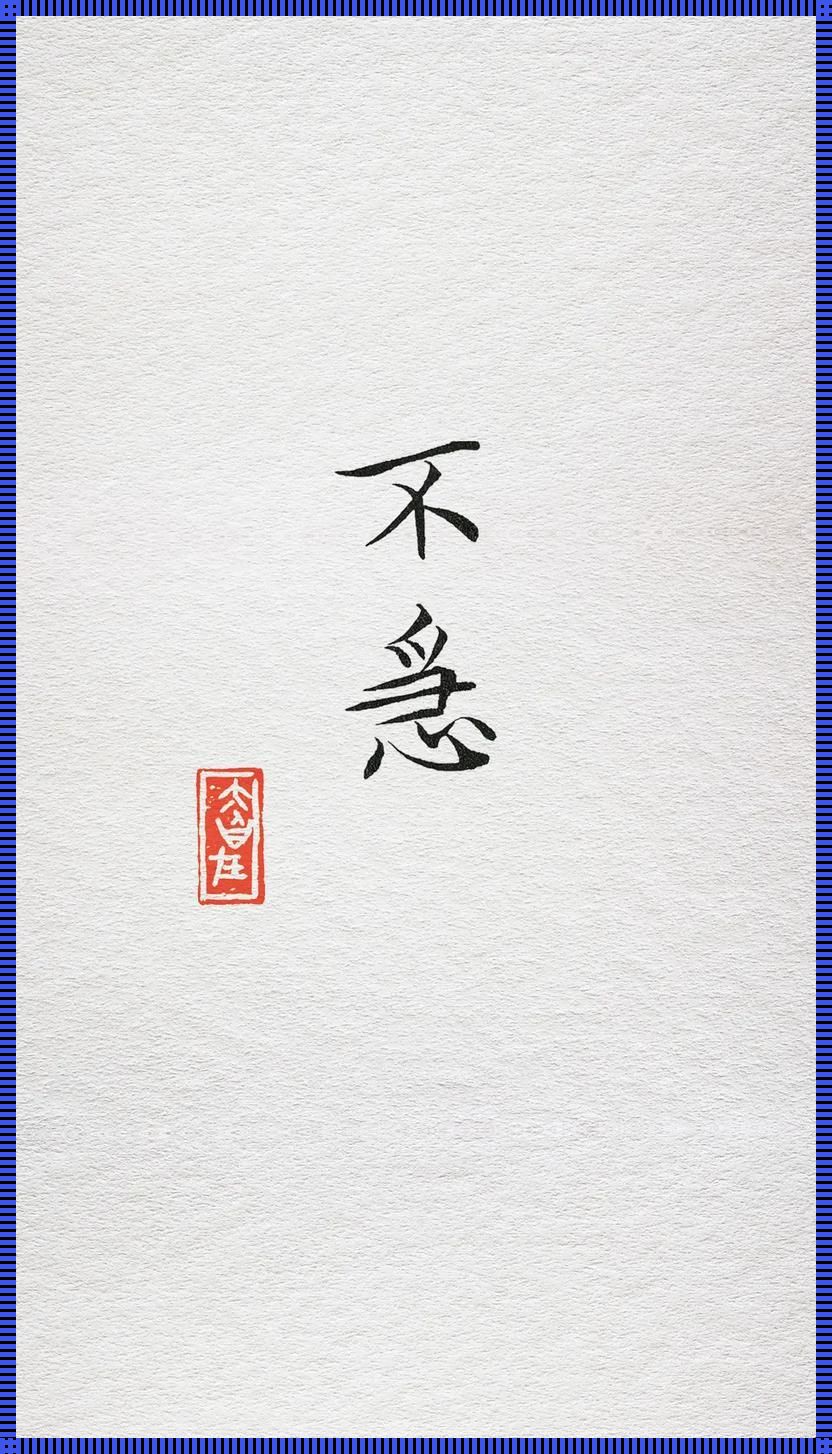 "慢一拍，点燃科技狂潮"