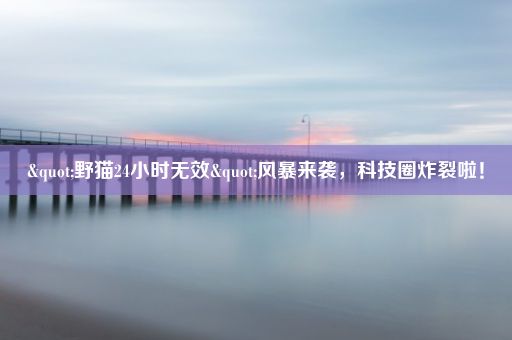 "野猫24小时无效"风暴来袭，科技圈炸裂啦！