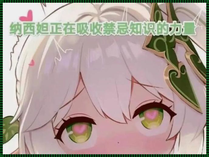 《知识炼金术:纳西妲的魔法调料》