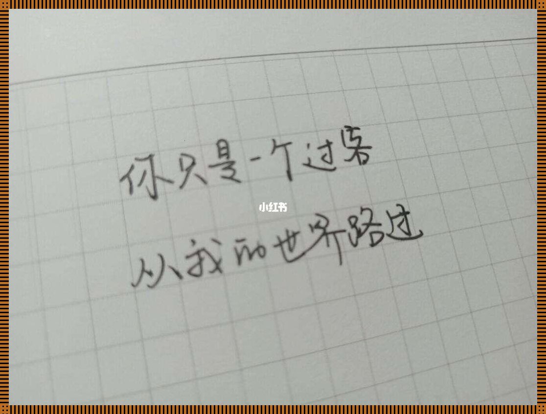 前后夹击，创新突破引发热议：双面煎炒科技盛宴