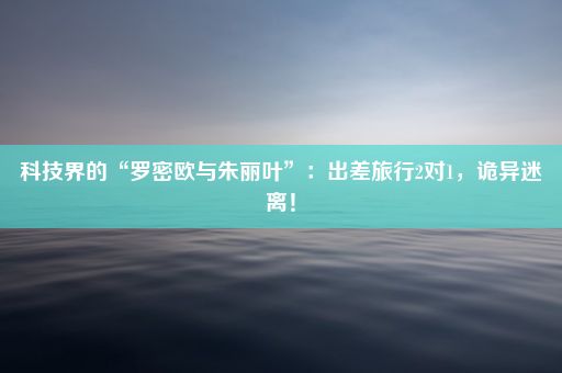 科技界的“罗密欧与朱丽叶”:出差旅行2对1,诡异迷离!