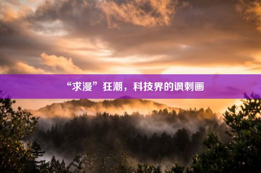 “求漫”狂潮,科技界的讽刺画