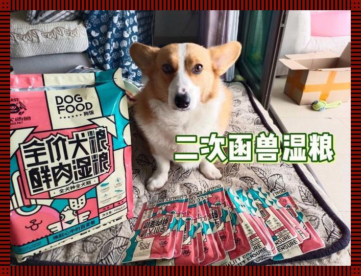 “ZOOMSERVO兽狗”来袭,掀起科技狂潮,笑看江湖风云