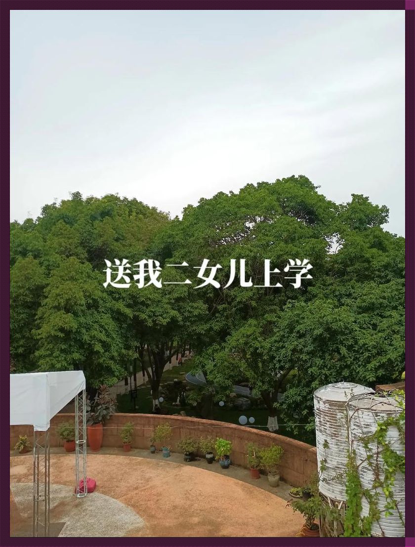 懂事的好女儿二中字,引发热潮