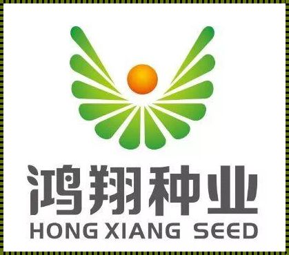 破界而生:鸿翔官网的超常规演绎