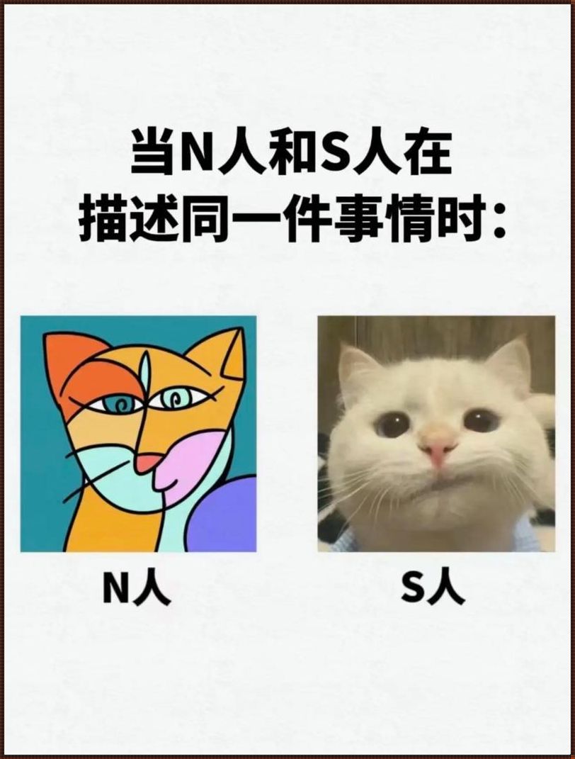 《科技圈新论:成品人与精品人的“异次元”对决》