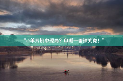 “sfr单片机中搅局?自嘲一番探究竟!”