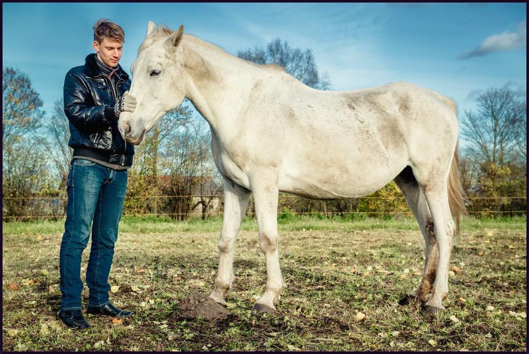 科技江湖,人马畜禽奇缘:笑谈网络风波