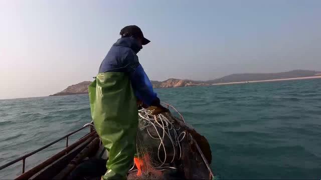 “潮起潮落,老魏航行引发的科技狂潮”