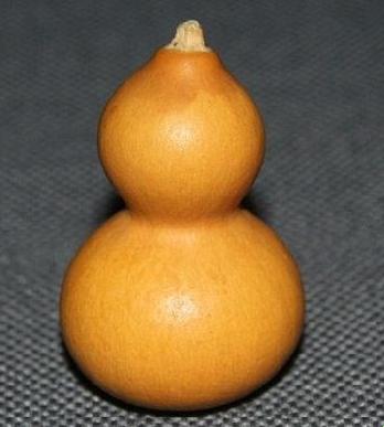 “葫”言“芦”语,创新界的一股清流!