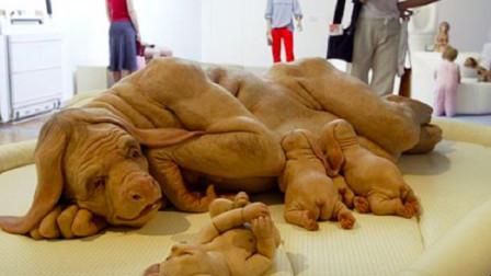 “杂交潮流”:人性的荒诞还是科技的魔法?