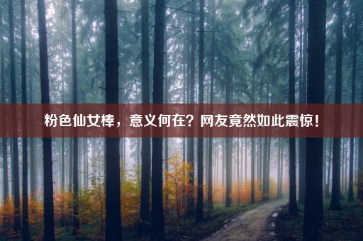 粉色仙女棒,意义何在?网友竟然如此震惊!