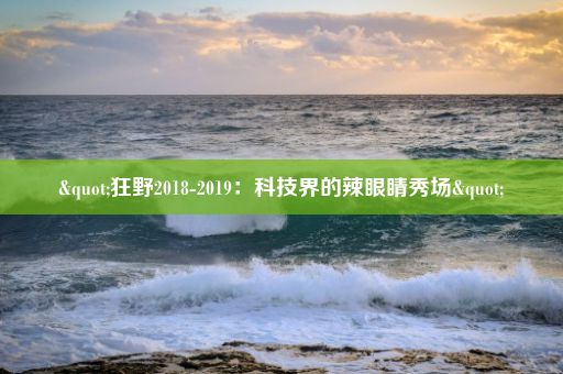 "狂野2018-2019:科技界的辣眼睛秀场"