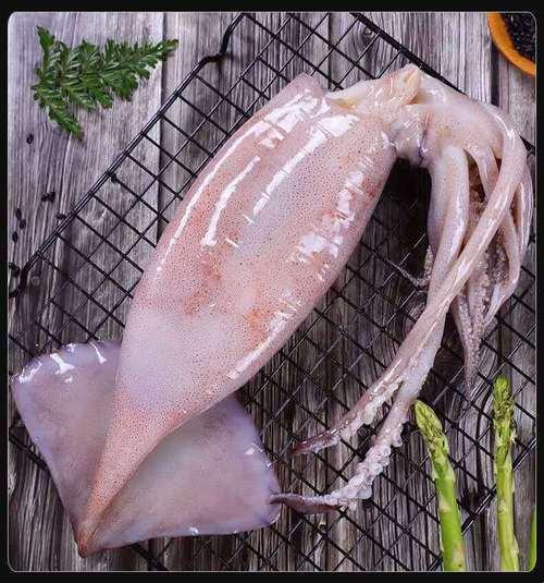 "科技潮鱿‘B21777’:笑谈新潮流中的滑稽与智慧"