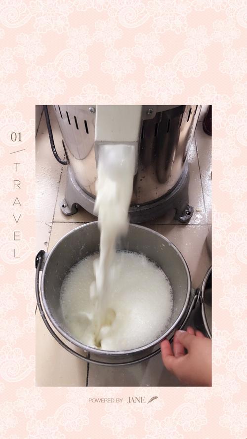 《潮涌“豆渣”流，自嘲中笑看科技圈》