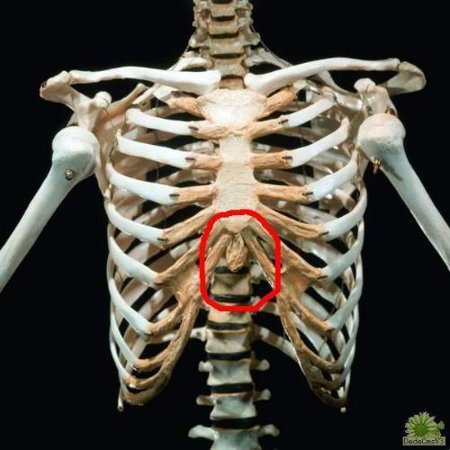 "身体里的硬骨头:揭秘神秘硬块背后的故事"