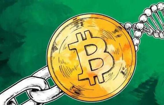 太希币前景:一币一步,步步惊心!