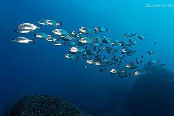 大西洋的“影坛传奇”:海浪都惊了!