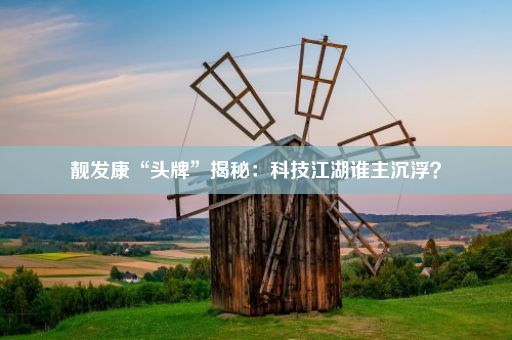 靓发康“头牌”揭秘：科技江湖谁主沉浮？