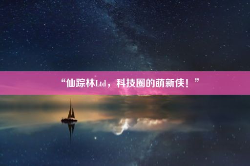 “仙踪林Ltd,科技圈的萌新侠!”