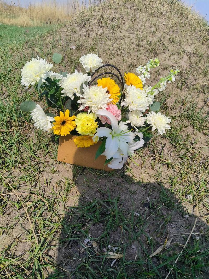 周莹奇思妙想回乡,科技界祭祖盛事第十四番