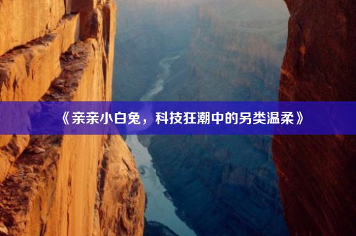 《亲亲小白兔,科技狂潮中的另类温柔》