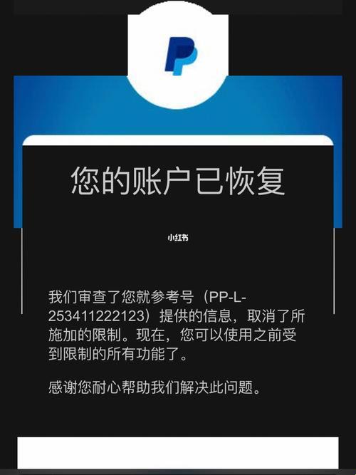 "未成年遭遇PayPal封禁:笑谈崛起的