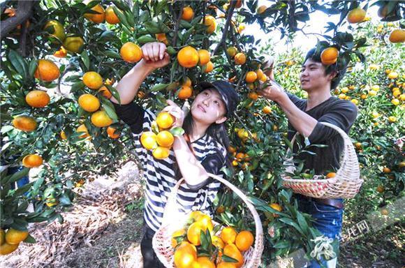 "采蜜1V.1H方橙采意,笑破记录,科技界的蜜甜新事"