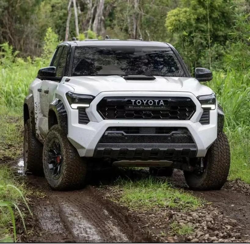 t66t最新2024:萌新的双关之旅