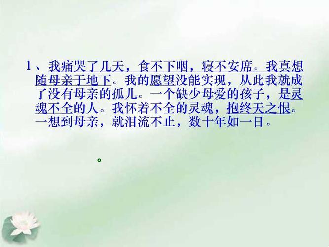 “妈拒句”风云:网民戏谑背后的科技时代笑谈