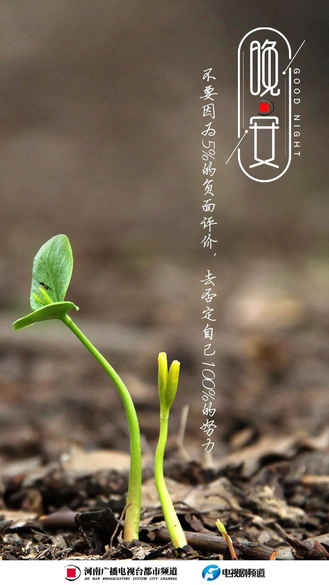 冒芽潮名册:网民热论