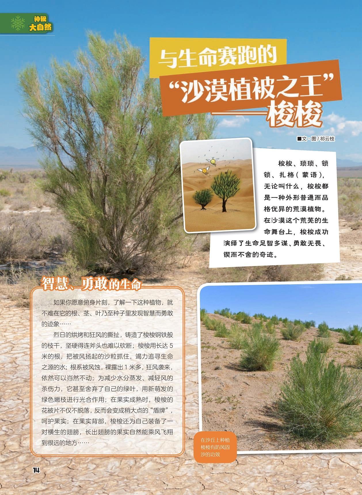 “梭梭”狂潮, 科技界的新宠儿