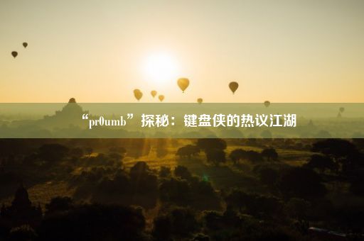 “pr0umb”探秘:键盘侠的热议江湖